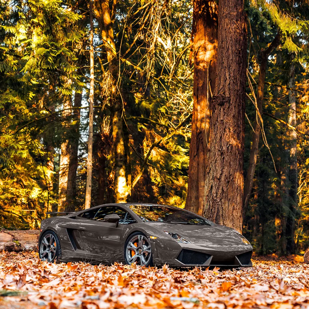 Gloss TomCat PPF 03.webp