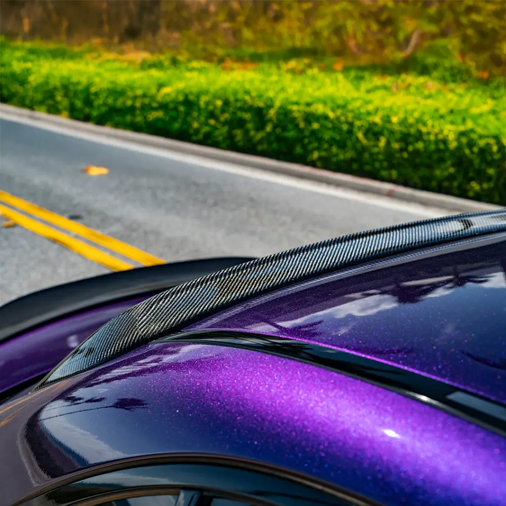 _DSC2647.webp