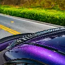 _DSC2647.webp