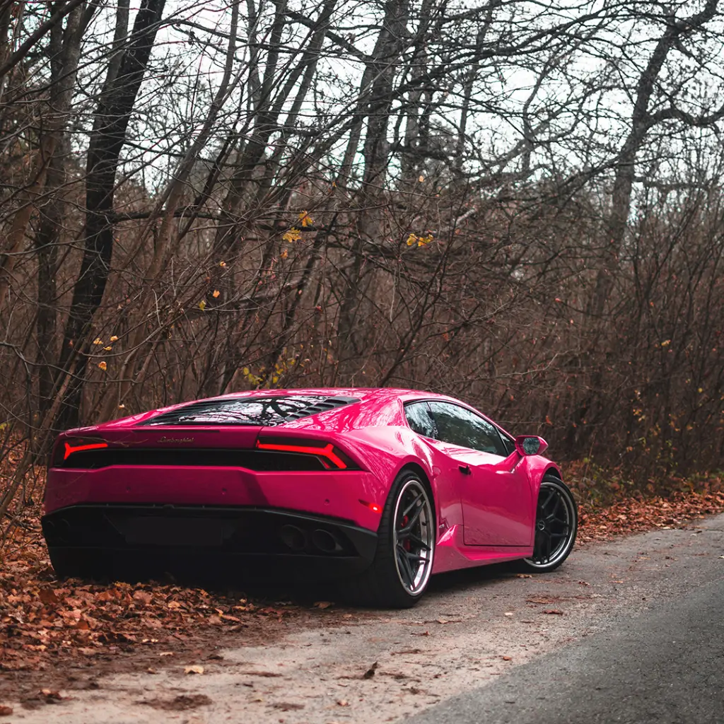 sassy-pink-01.webp