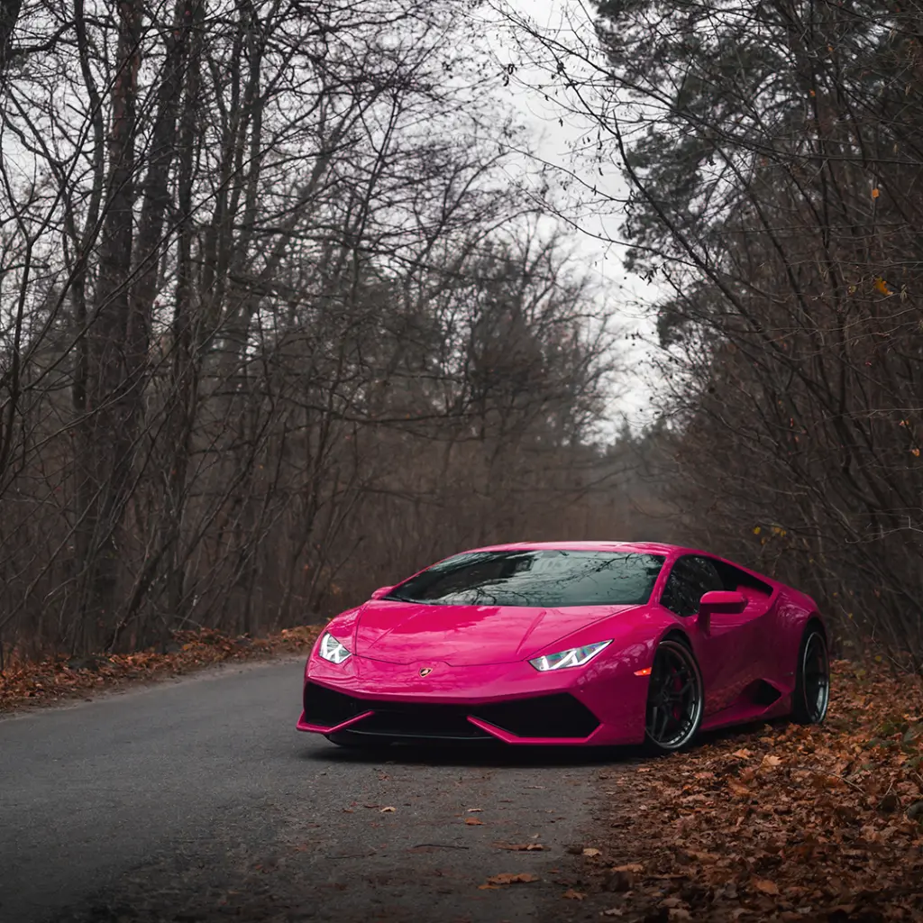 sassy-pink-02.webp
